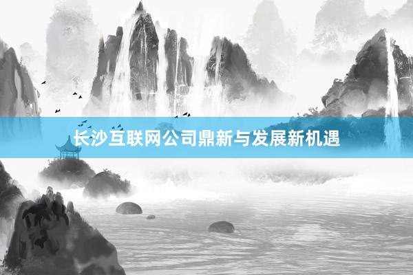 长沙互联网公司鼎新与发展新机遇